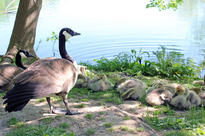 40 Times People Failed To Remember What A Simple Thing Is Called So They Came Up With The Most Hilarious New Name