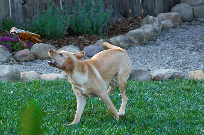 34 Personas que no se acordaban de cómo se llamaba una cosa y se inventaron un nuevo nombre más gracioso