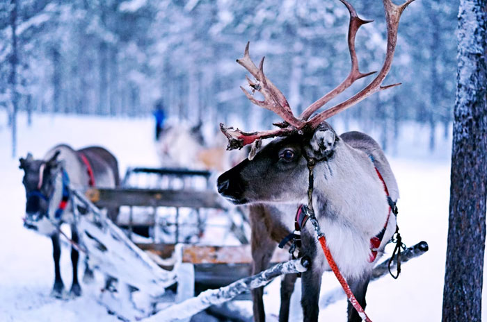 34 Personas que no se acordaban de cómo se llamaba una cosa y se inventaron un nuevo nombre más gracioso