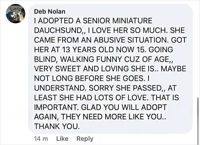 The Wholesome Content Needed At This Point In Time