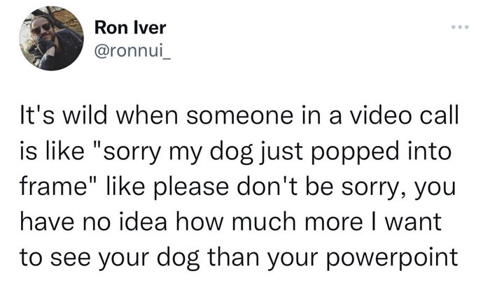 Funny meme about preferring dogs to PowerPoint presentations during video calls.
