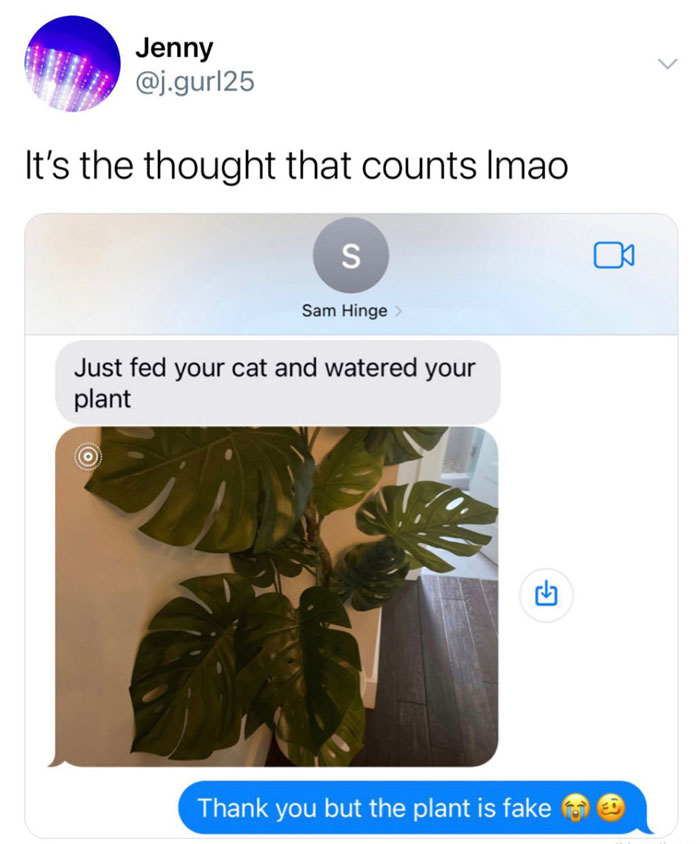 Text conversation meme about watering a fake plant, featuring a popular Instagram moment.