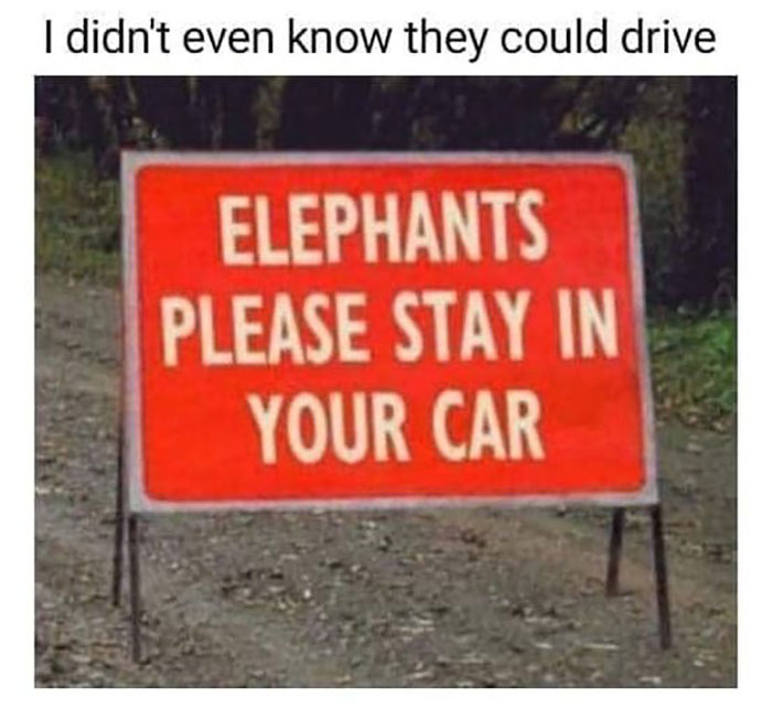 Humorous and absurd sign reading elephants please stay in your car spotted and shared in a Facebook group.