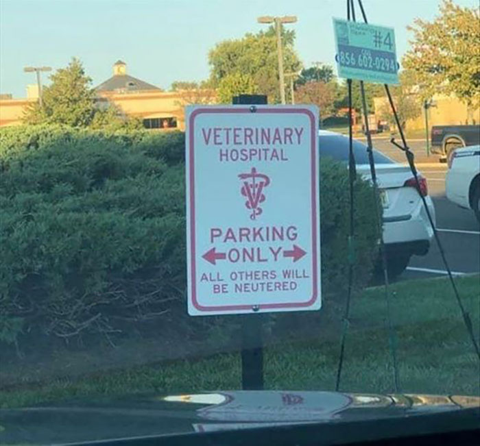 Veterinary hospital parking sign humorously warns that all others will be neutered, spotted as a hilarious and absurd sign.