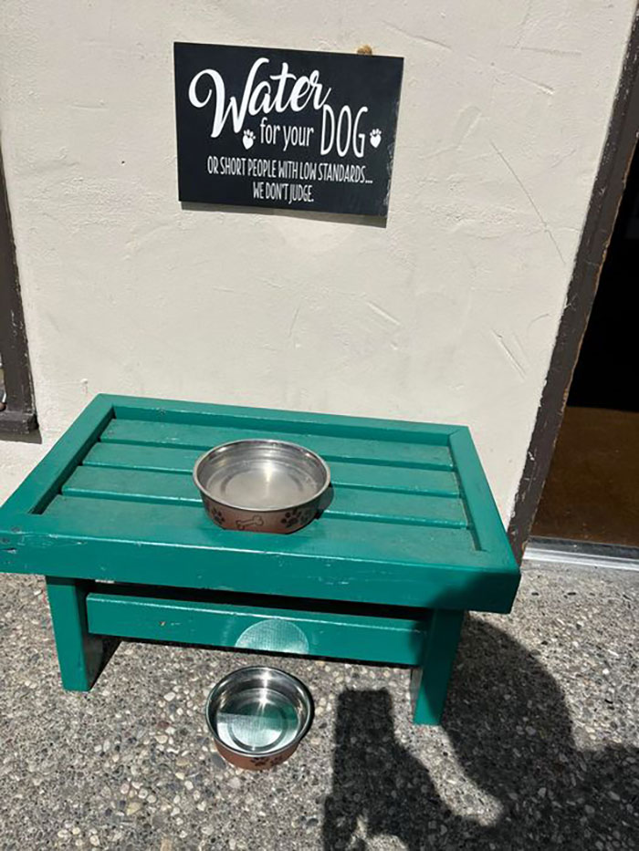 Hilarious and absurd sign offering water for dogs or short people with low standards near two bowls on a green stand.