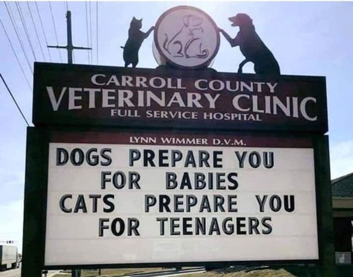 Hilarious and absurd sign outside a veterinary clinic humorously comparing dogs and cats preparing you for babies and teenagers.