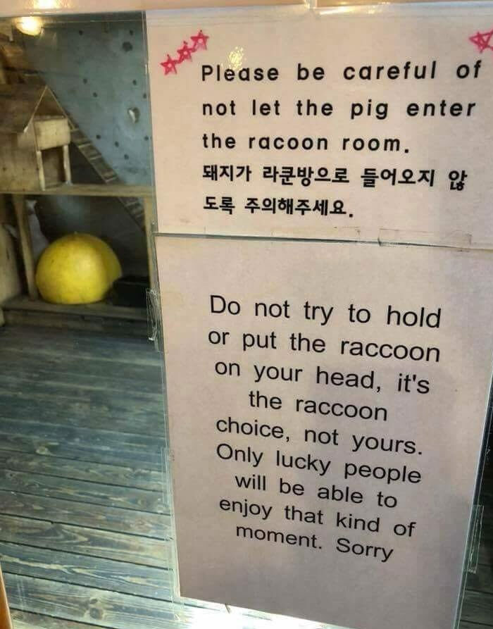 If You Only See Two Signs About A Raccoon Room Today, Make It These Two