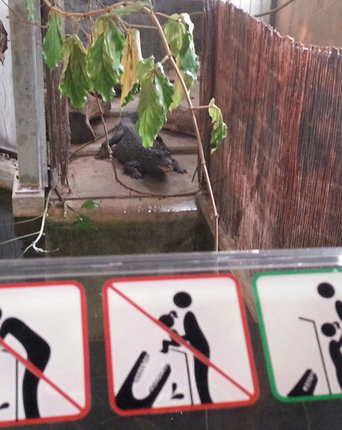 If Only There Would Have Been That Sign