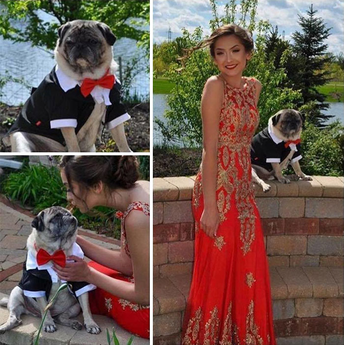 I Told My Mom I Didn't Have A Prom Date So She Ordered My Dog A Tux On Amazon