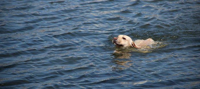 ‘Hoy aprendí’: 25 nuevos datos que demuestran que nunca es tarde para aprender algo nuevo