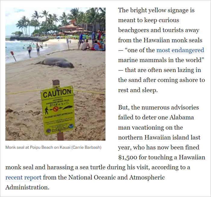 &ldquo;Our Tourism Industry Produces A False Version Of Hawaiʻi&rdquo;: Hawaiʻian Discourages People From Visiting Hawaiʻi If They&rsquo;re Gonna Be Disrespectful There