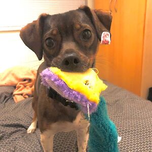 rebeccamoore_4 avatar