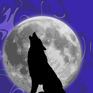 katharinblackerby avatar