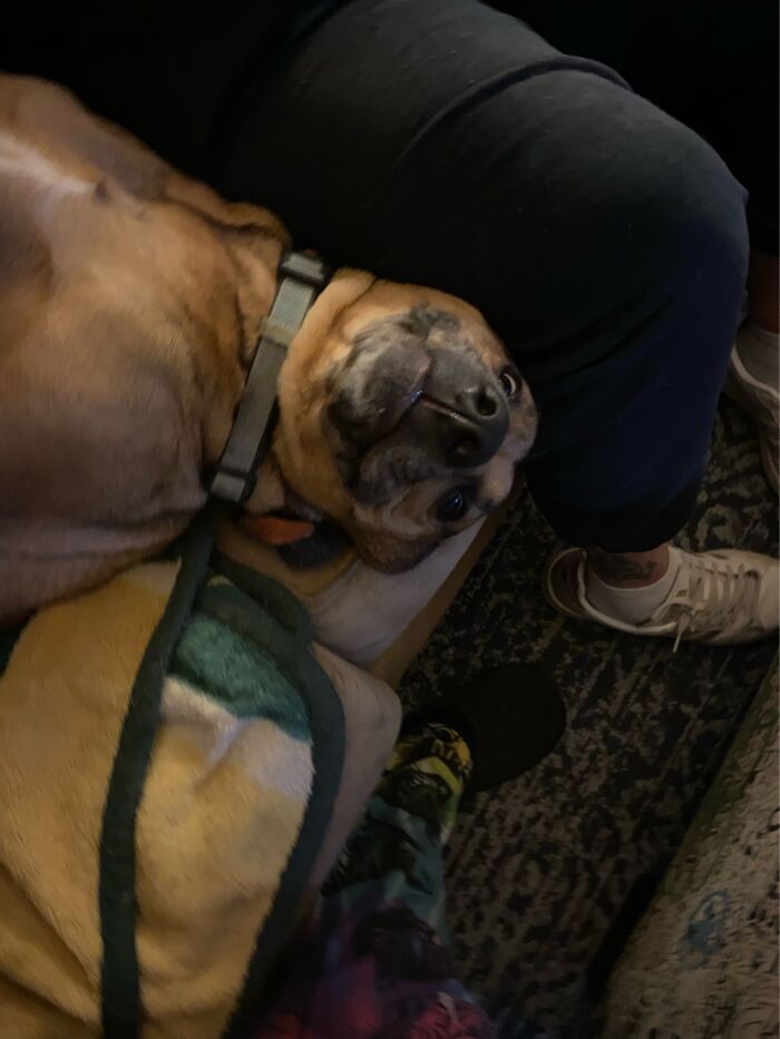 Mils Dog, Cooper. He’s Weird.