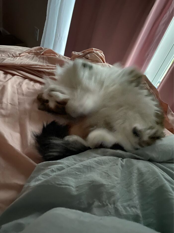 Moved Too Much, Gal!