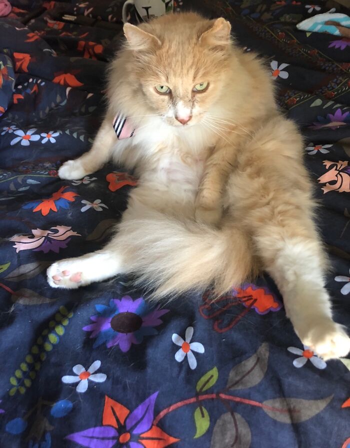 Agh…there’s Nothing To See Here