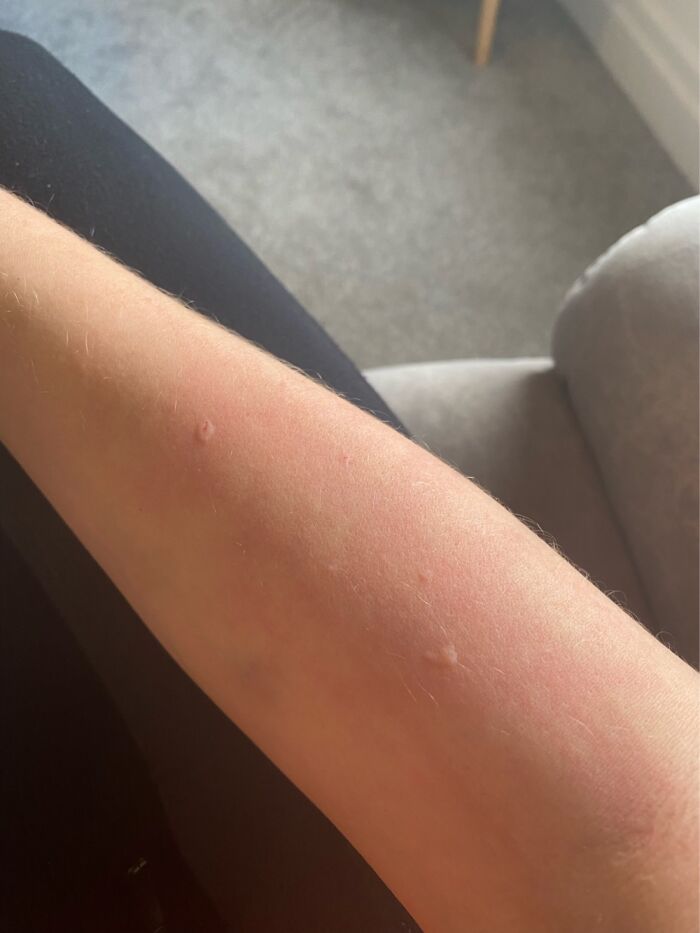 Me - I Just Want A Cuddle! Cat - Nope