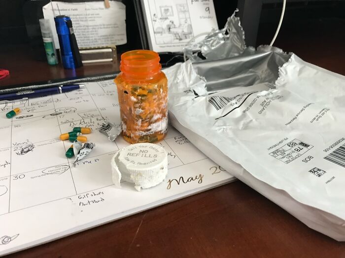 My Lovable But Nosy Dog Had To Make Sure My Medication Wasn’t For Her (She Didn’t Eat Any!)