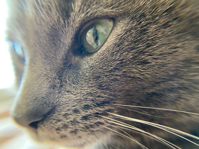 I Have So Many It Was Hard To Choose