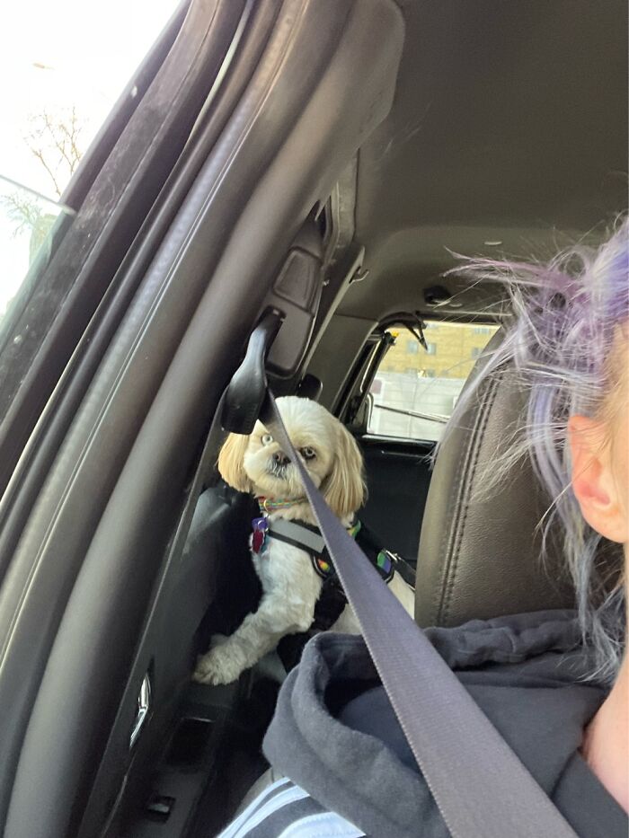 My Baby Boy, Sinatra