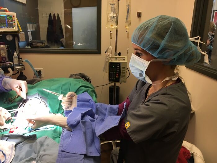 Nothing Like Surgery As A Veterinary Nurse
