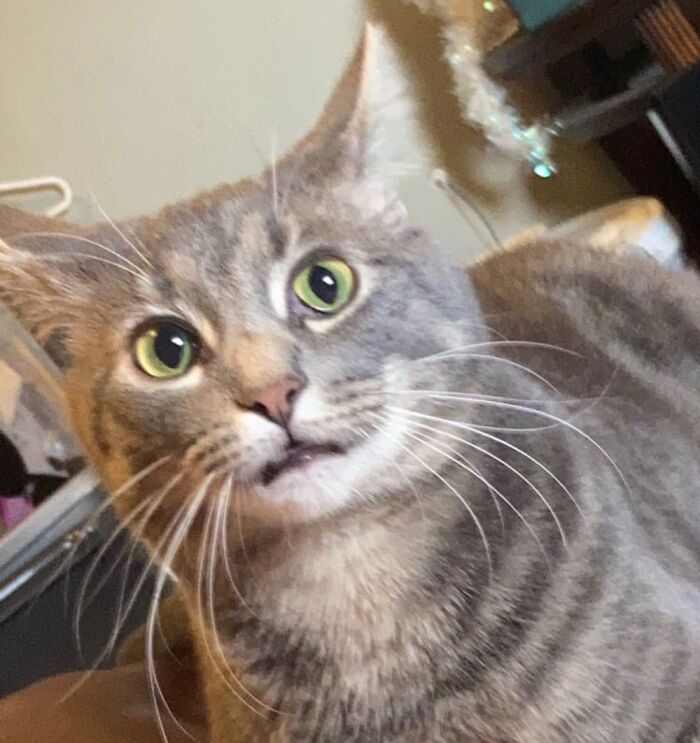 My Little Weirdo ❤️