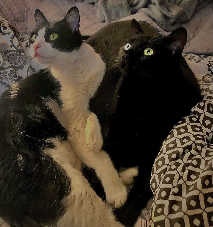 It Was A Bright Day.