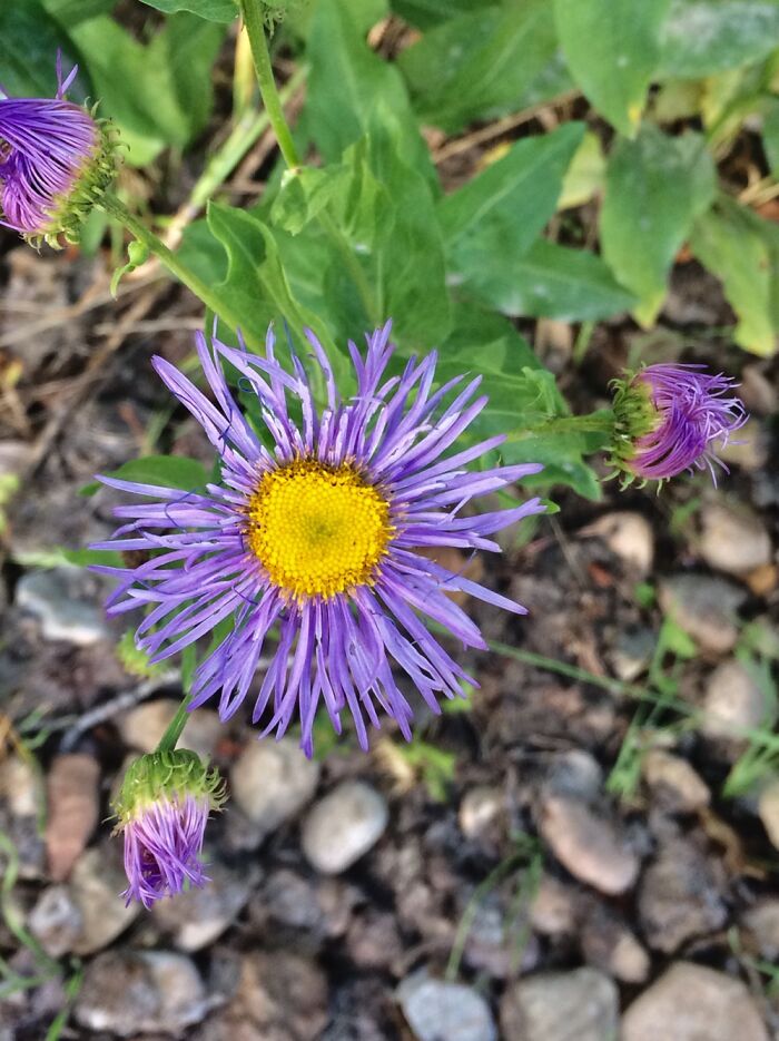 Spring In Coalville Utah Is Gorgeous