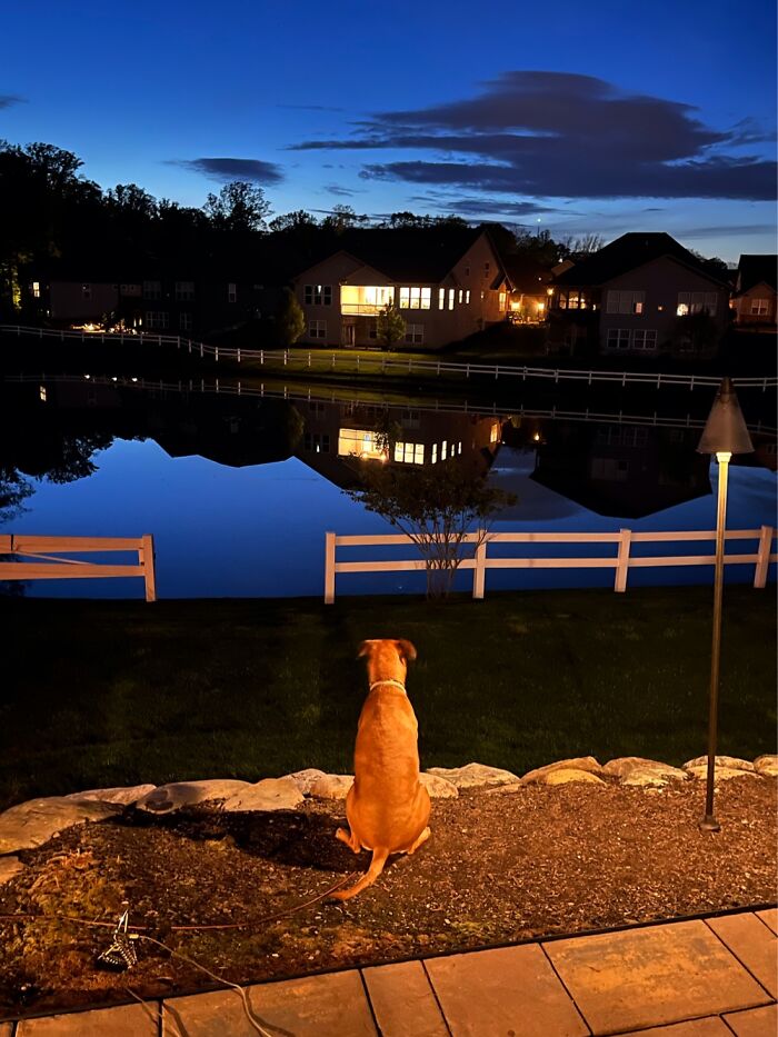 It’s Finally Warm Enough To Sit Outside And Enjoy The View