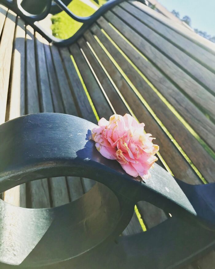 Flowers Coming Into Bloom And Being Able To Chill At The Park.