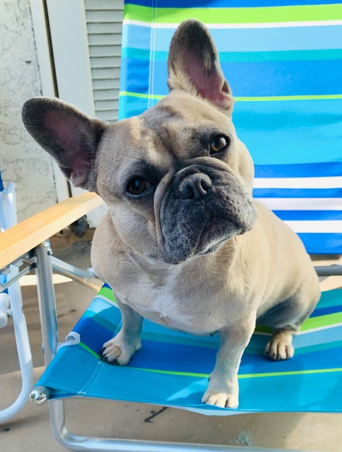 Beach Chair Weather!