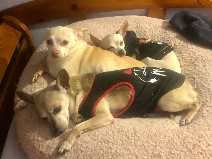 The Three Amigos 💖