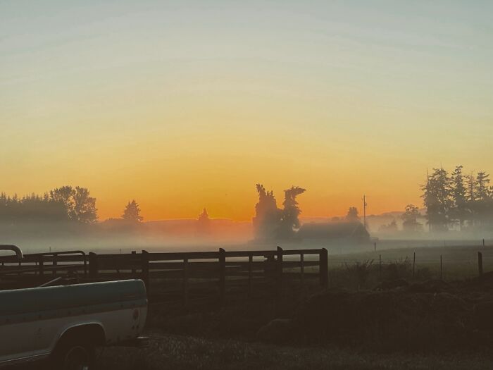 Our Life On Our Farm In The Pnw