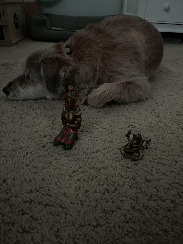 My Doggo, Buddha Statue, And Ganesha Statue