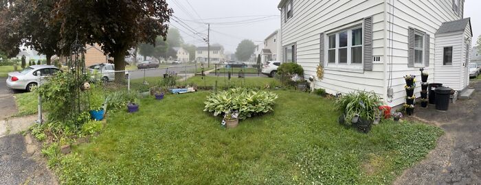 My Front Yard. If You Zoom You Will See Secrets Hidden. Let Me Know What You Find.