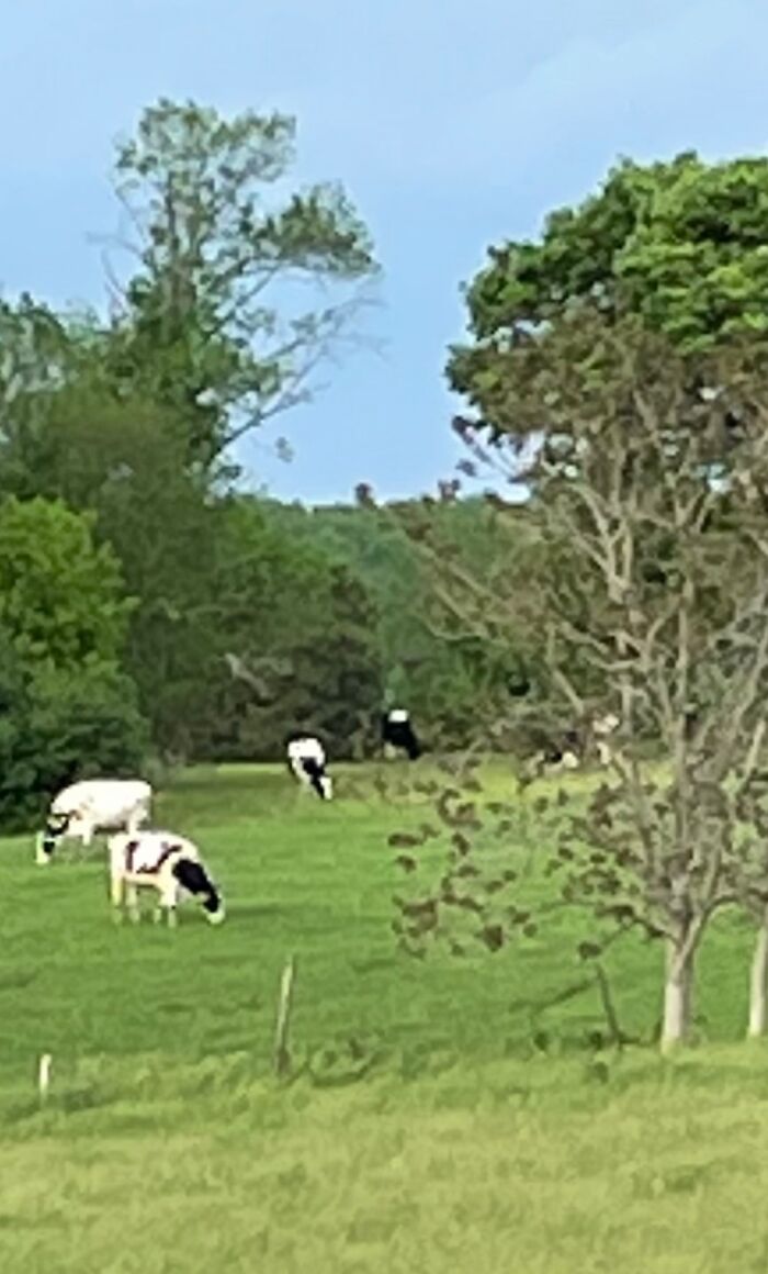 Neighbors Are Few And Far Between.