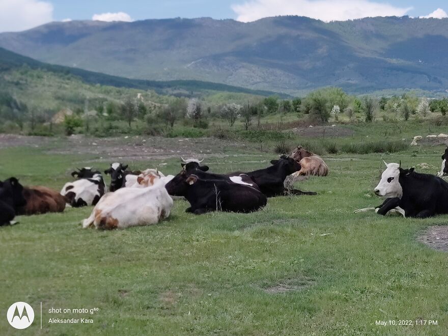 When Your Mind Is Clear And You Are Living The Moment When Your Mind Is Clear And You Are Living The Moment