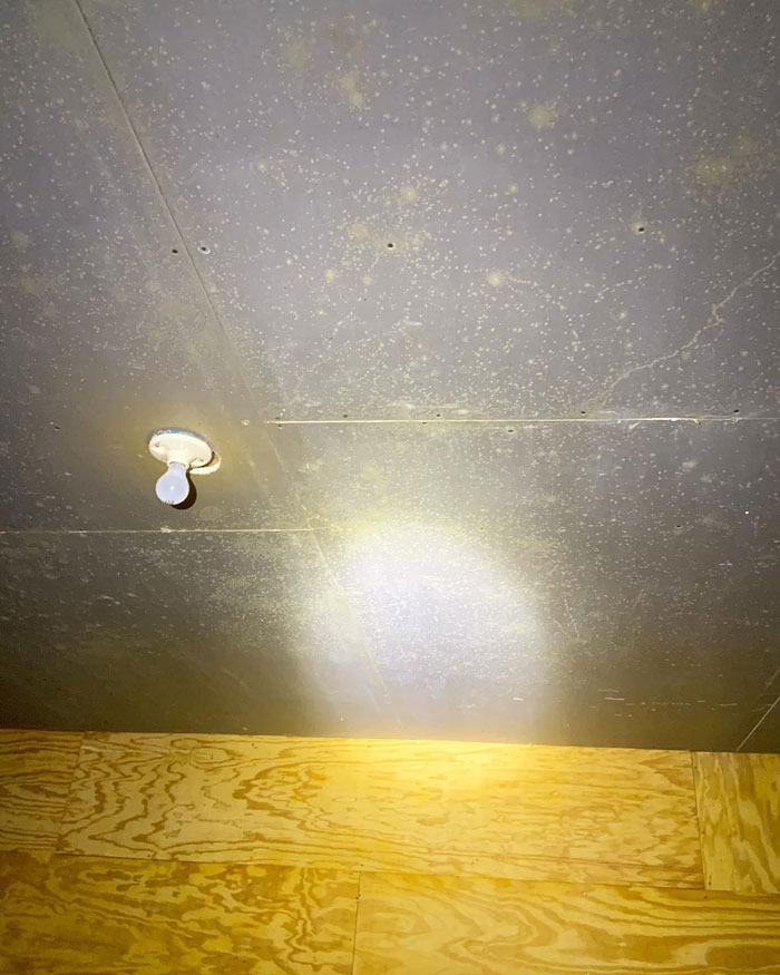 Constellation Ceiling!