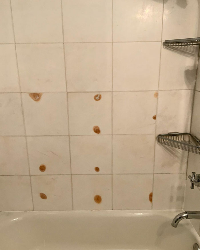 Here A Spot…there A Spot!