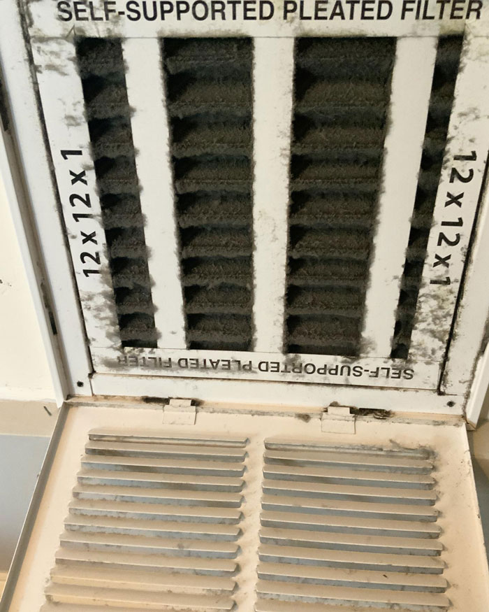 Found The Delta Variant!