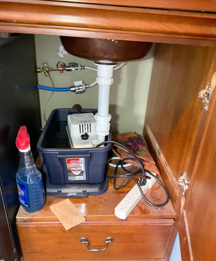 The Sponge Is To Clean Up This Mess!