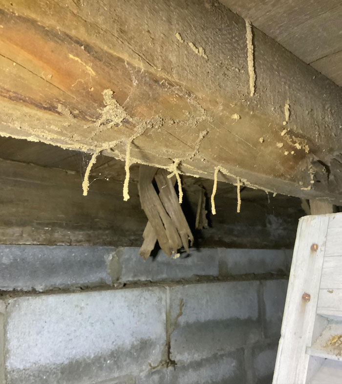 The Beam Has Whiskers!