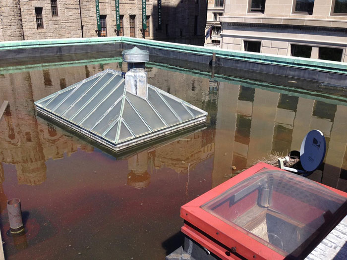 Good News! Snow Melted In Boston!