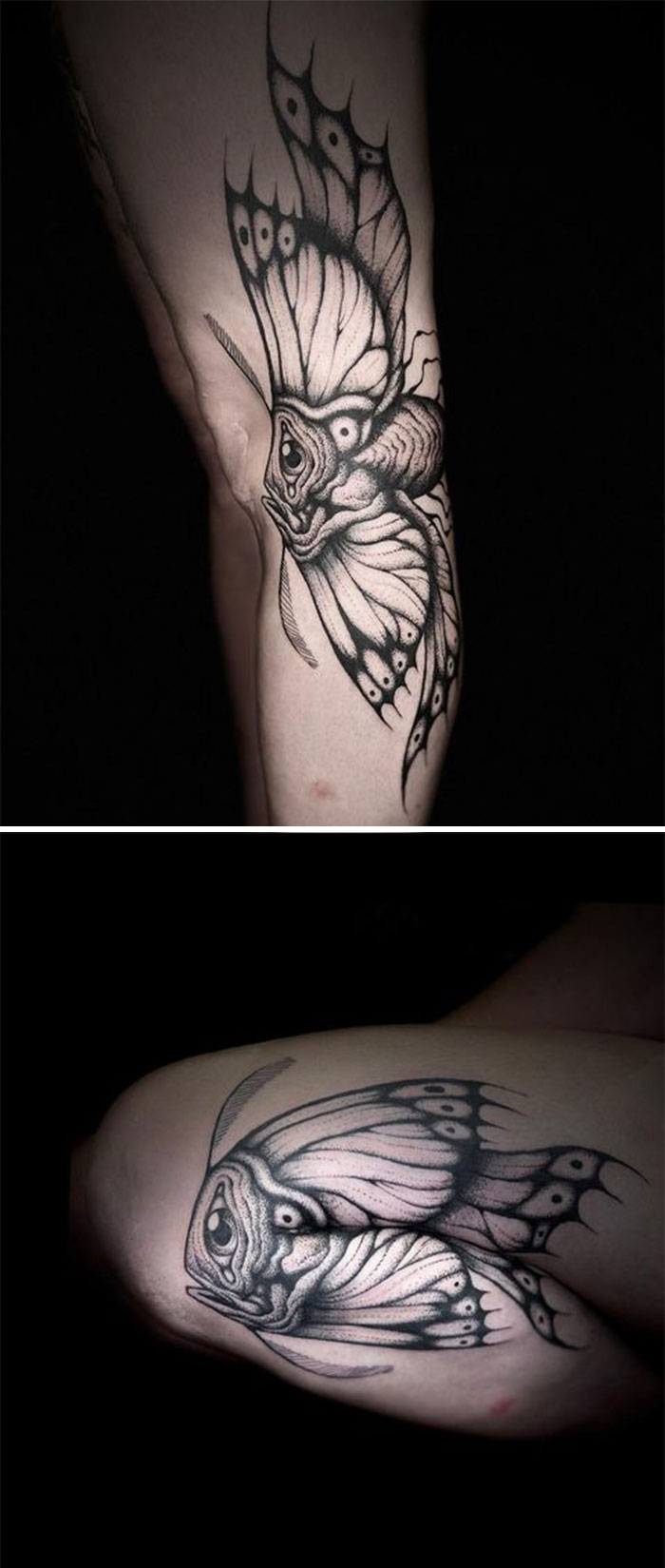 Tattoo of a butterfly fish on a leg, design shifts as the knee bends, revealing its genius detail.