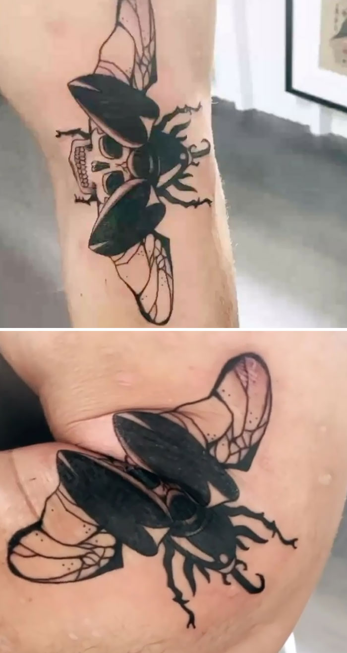 One Of My Flash Beetles