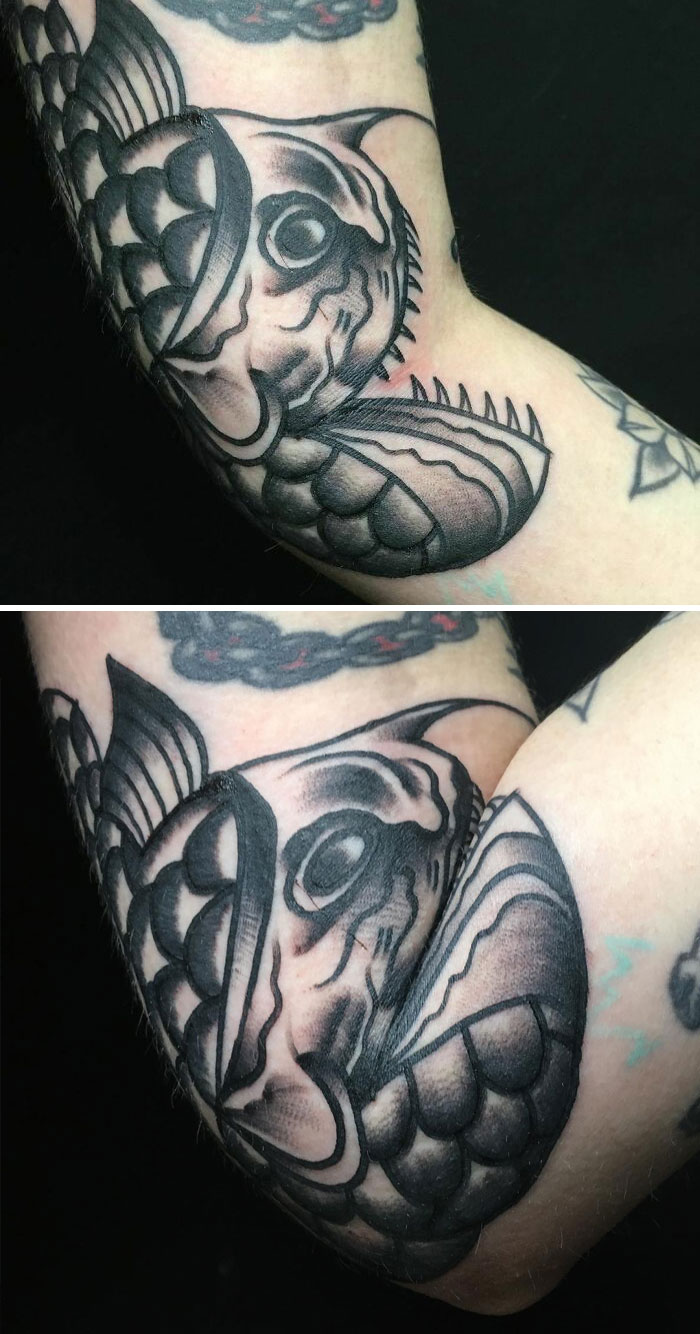 Abyssal Anglerfish In Realism