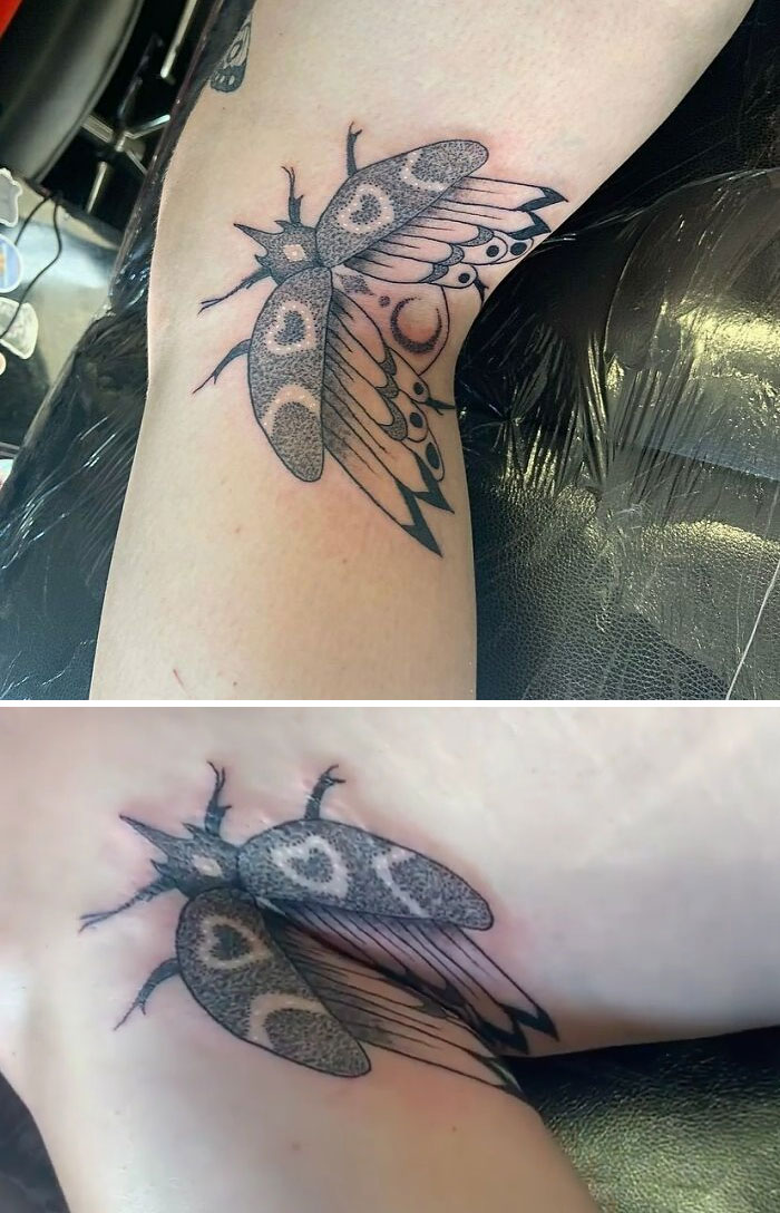 Beetle In The Knee Ditch