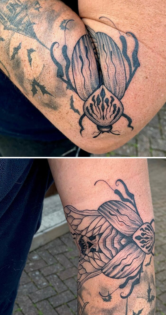 Animated Beetle For My Dad