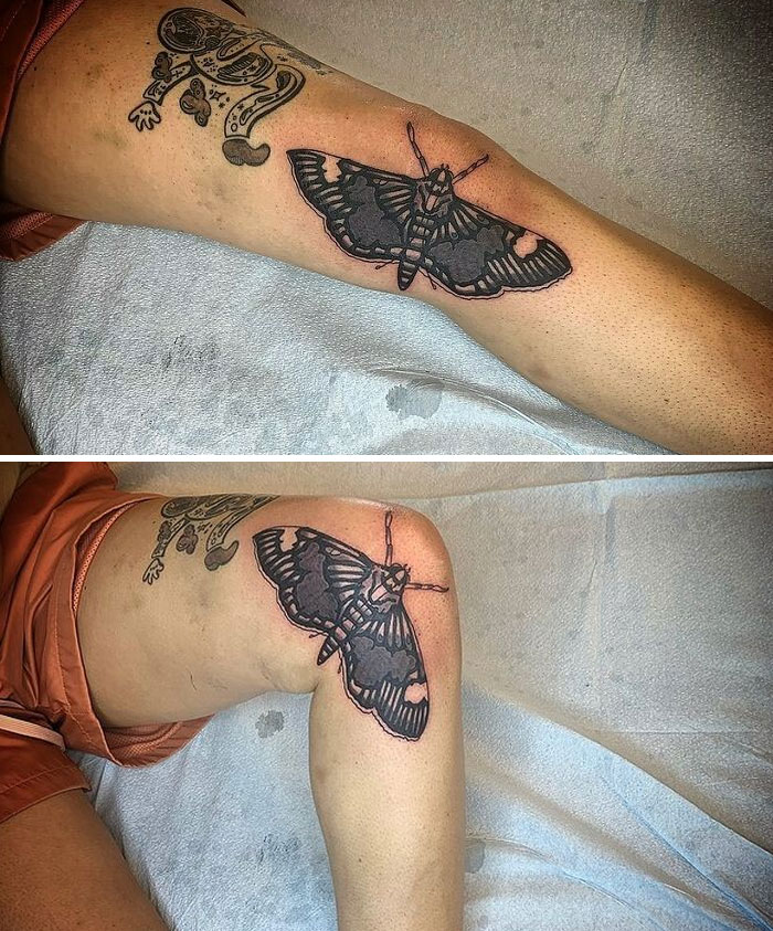 Moth Piece I Got The Chance To Do
