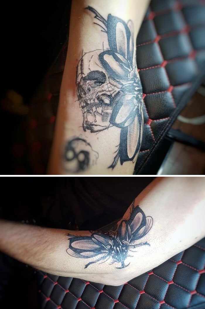 Moth Butterfly & Skull